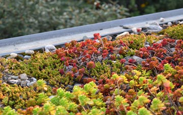 the cost of Liberton green roof installation