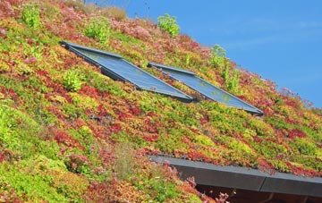 Liberton living roof systems